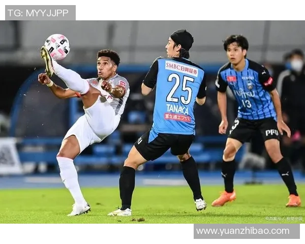 墨尔本港鲨鱼主场迎战卡瓦利尔斯全力争胜之战