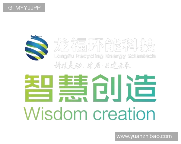 安心百分百与龙福环能的全面对比分析与市场前景探讨